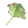 SUCCULENTE artificielle diam 17 cm - par dessous