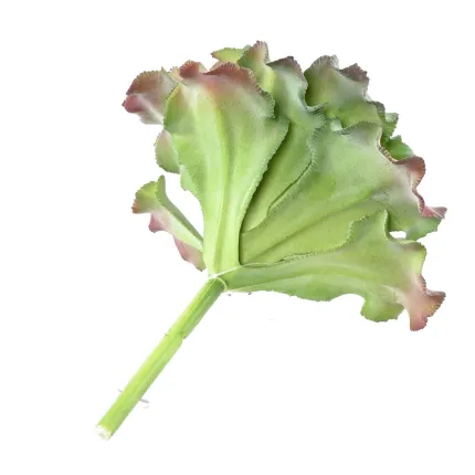 SUCCULENTE artificielle diam 17 cm - par dessous