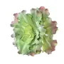 SUCCULENTE artificielle diam 17 cm - par dessus