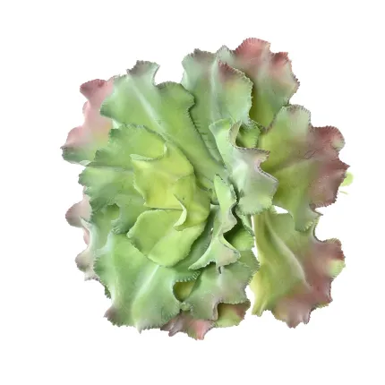 SUCCULENTE artificielle diam 17 cm - par dessus