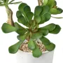 SUCCULENTES artificielles  30 cm en pot - détails feuilles