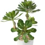 SUCCULENTES artificielles  30 cm en pot - détails
