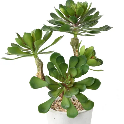 SUCCULENTES artificielles  30 cm en pot - détails