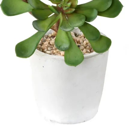 SUCCULENTES artificielles  30 cm en pot - détails pot