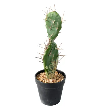 CACTUS artificiel en pot 34 cm
