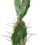 CACTUS artificiel en pot 34 cm - détails épines