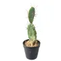 CACTUS artificiel en pot 34 cm - de profil