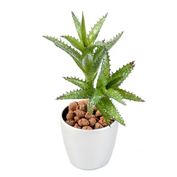 MINI SUCCULENTES artificielles  18 cm en pot