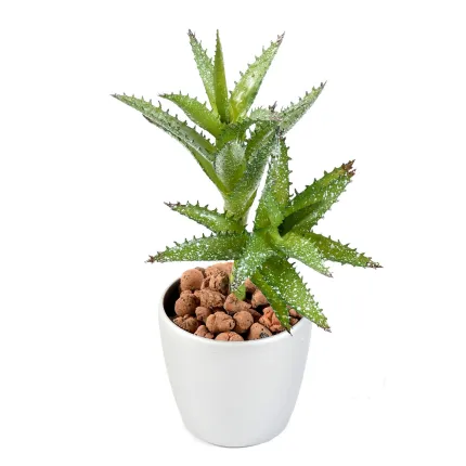 MINI SUCCULENTES artificielles  18 cm en pot