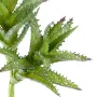 MINI SUCCULENTES artificielles  18 cm - détail