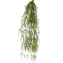 RHIPSALIS artificiel plast 50 cm