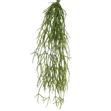 RHIPSALIS artificiel plast 50 cm