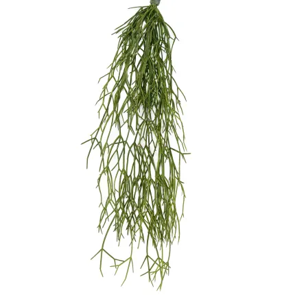 RHIPSALIS artificiel plast 50 cm