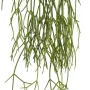 RHIPSALIS artificiel plast 50 cm - détails