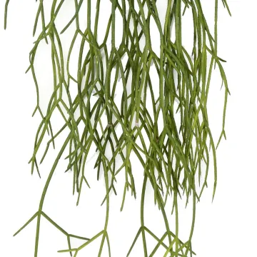 RHIPSALIS artificiel plast 50 cm - détails