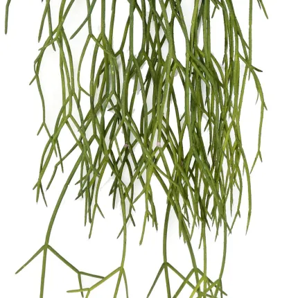 RHIPSALIS artificiel plast 50 cm - détails