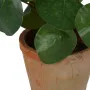 PILEA artificiel  22 cm en pot - détail pot