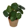PILEA artificiel  22 cm en pot