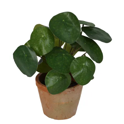 PILEA artificiel  22 cm en pot