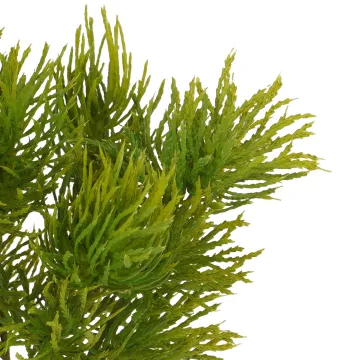 Branche de Lichen artificielle 23 cm - détails brins