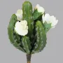 CACTUS FLEUR artificiel 23 cm sur fond