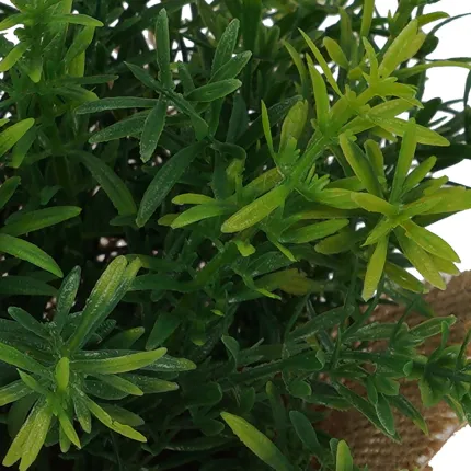 THYM artificiel en pot toile de jute 18 cm - détail