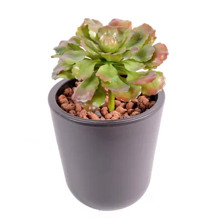 SUCCULENTE artificielle 17 cm en pot
