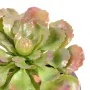 SUCCULENTE artificielle 17 cm - détails