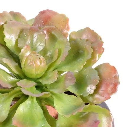 SUCCULENTE artificielle 17 cm - détails