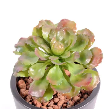 SUCCULENTE artificielle 17 cm - vue par dessus