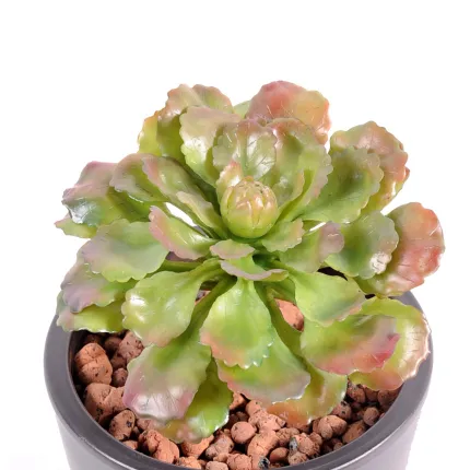 SUCCULENTE artificielle 17 cm - vue par dessus