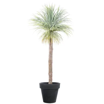 YUCCA artificiel géant 240 cm en pot