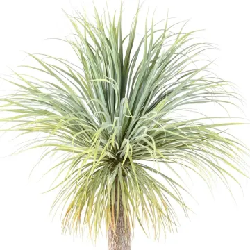 YUCCA artificiel géant 240 cm - feuilles