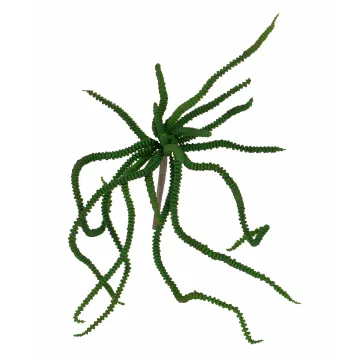 CRASSULA artificiel 30 cm