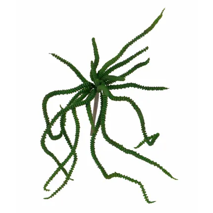 CRASSULA artificiel 30 cm