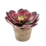 ECHEVERIA artificiel diam 23 cm en pot