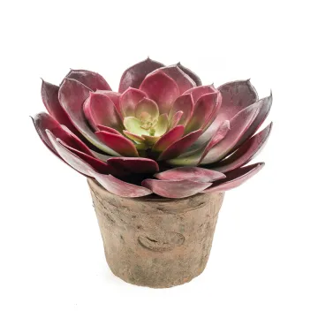 ECHEVERIA artificiel diam 23 cm en pot