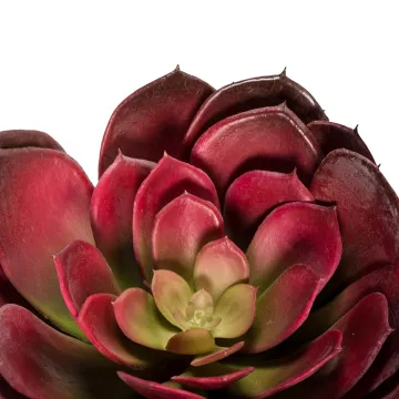 ECHEVERIA artificiel diam 23 cm - détails