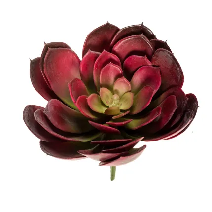 ECHEVERIA artificiel diam 23 cm