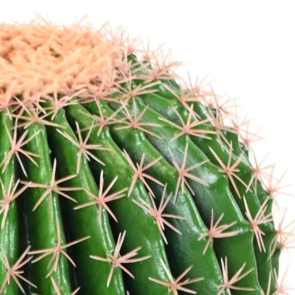 ECHINOCACTUS artificiel DIAM 35 cm - détails