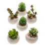 SUCCULENTES artificielles en pot 7 à 10 cm