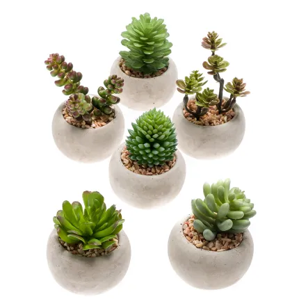 SUCCULENTES artificielles en pot 7 à 10 cm