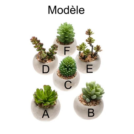 SUCCULENTES artificielles en pot 7 à 10 cm - modèles