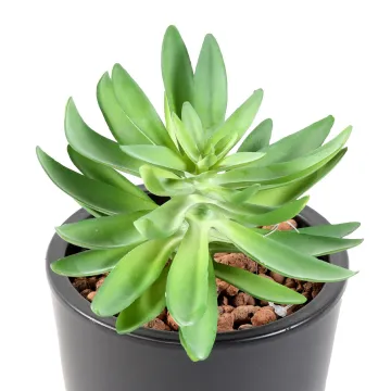 SUCCULENTES artificielles 20 cm diam 16 cm en pot