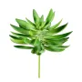 SUCCULENTES artificielles 20 cm diam 16 cm
