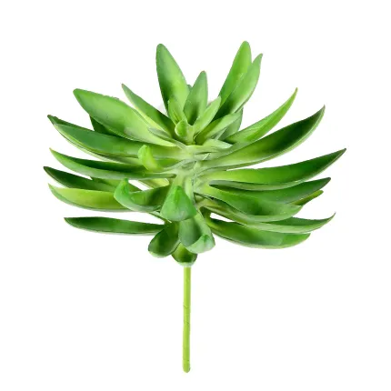 SUCCULENTES artificielles 20 cm diam 16 cm