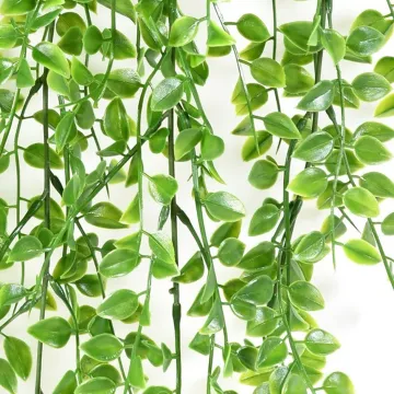 CALLISIA  PLAST 80 cm - détails feuilles