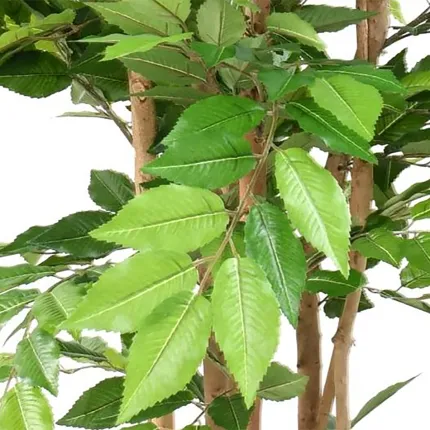 CHARME artificiel 150 cm - feuilles