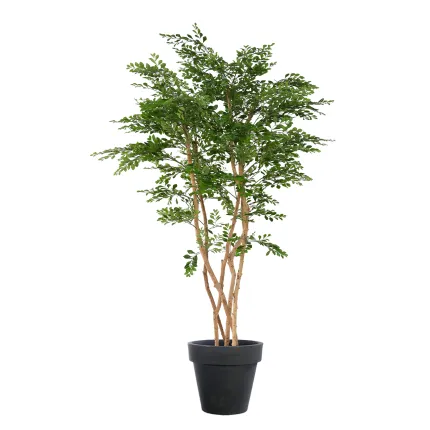 ACACIA artificiel 180 cm