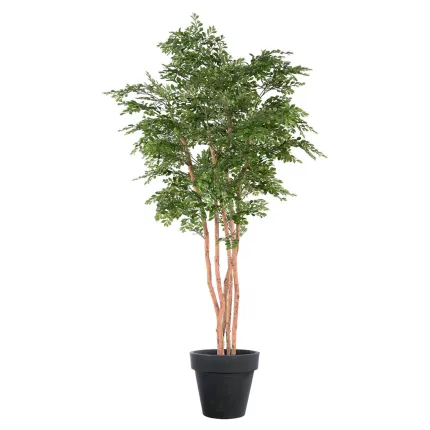 ACACIA artificiel 210 cm